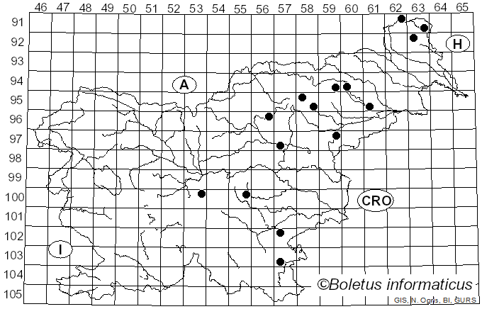 <i>Hymenopellis hygrophoroides</i> (Singer & Clémençon) R.H. Petersen (2010)