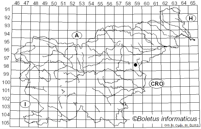 <i>Nothophaeocryptopus</i> Videira, C. Nakash. & Crous (2017)