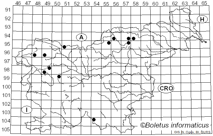 <i>Ochrolechia pallescens</i> (L.) A. Massal. (1853)