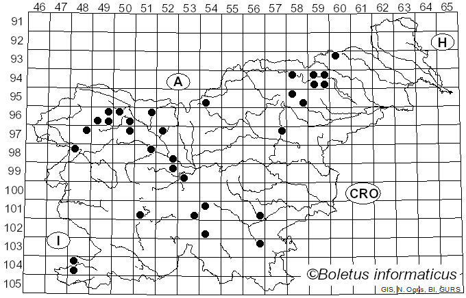 <i>Lactarius zonarioides</i> Kühner & Romagn. (1953)