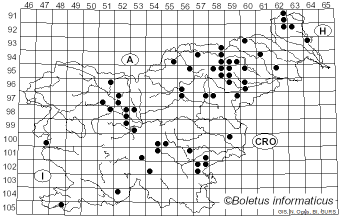 <i>Russula azurea</i> Bres. (1881)