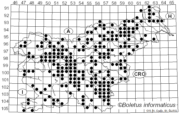 <i>Russula nigricans</i> (Bull.) Fr. (1838)