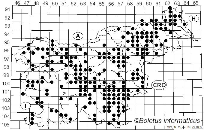 <i>Gymnopus dryophilus</i> (Bull.) Murrill (1916)