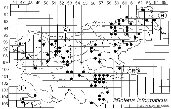 <i>Panus neostrigosus</i> Drechsler-Santos & Wartchow (2012)