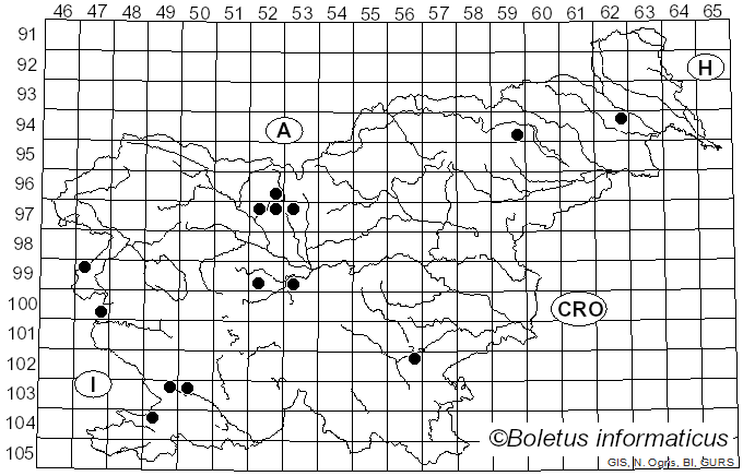 <i>Uromyces erythronii</i> (DC.) Pass. (1867)
