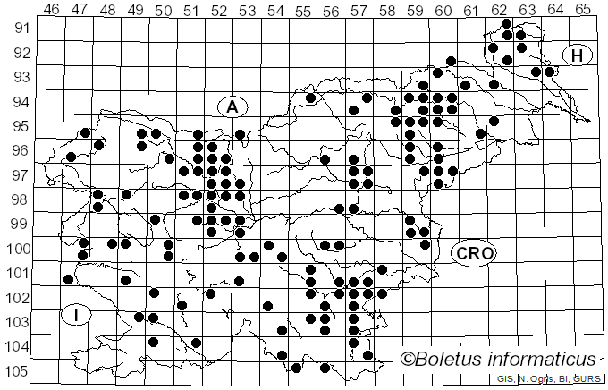 <i>Exidia nigricans</i> (With.) P. Roberts (2009)