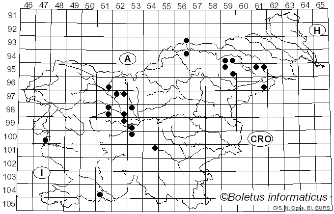 <i>Lanzia echinophila</i> (Bull.) Korf (1982)