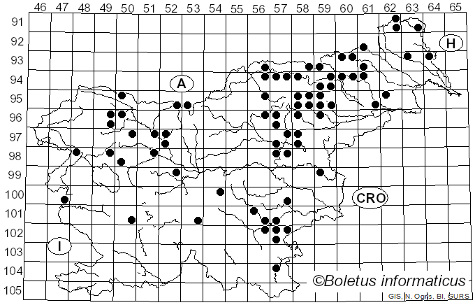 <i>Cortinarius stillatitius</i> Fr. (1838)