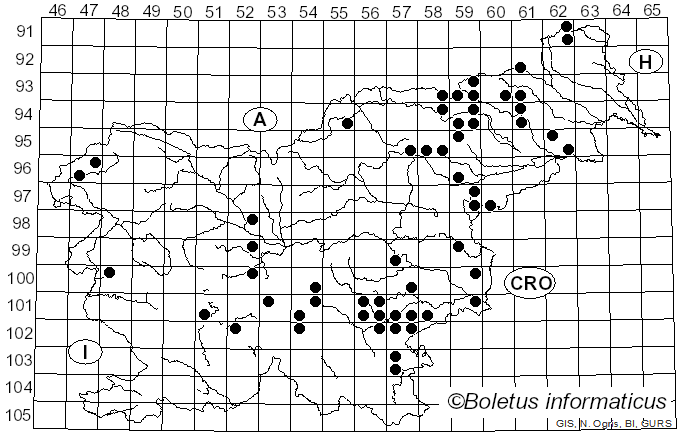 <i>Lactarius hepaticus</i> Plowr. (1905)