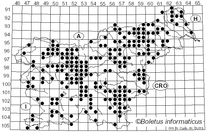 <i>Laccaria laccata</i> (Scop.) Fr. (1884)