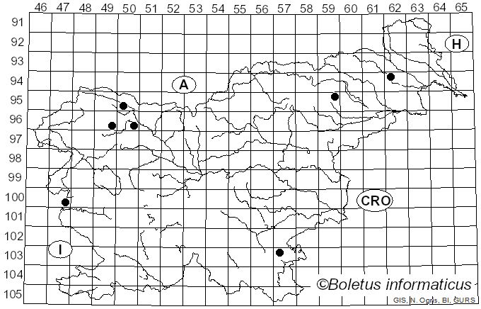 <i>Orbilia xanthostigma</i> (Fr.) Fr. (1849)