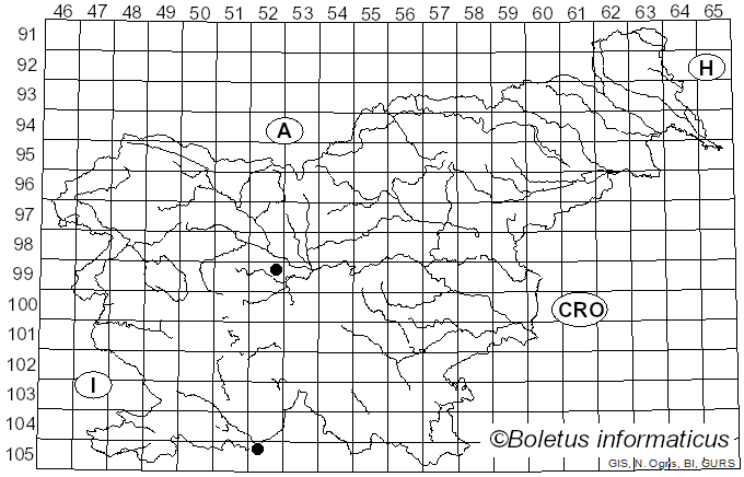 <i>Coprinellus marculentus</i> (Britzelm.) Redhead, Vilgalys & Moncalvo (2001)