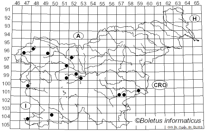 <i>Melanoleuca polioleuca</i> (Fr.) G. Moreno (1934)