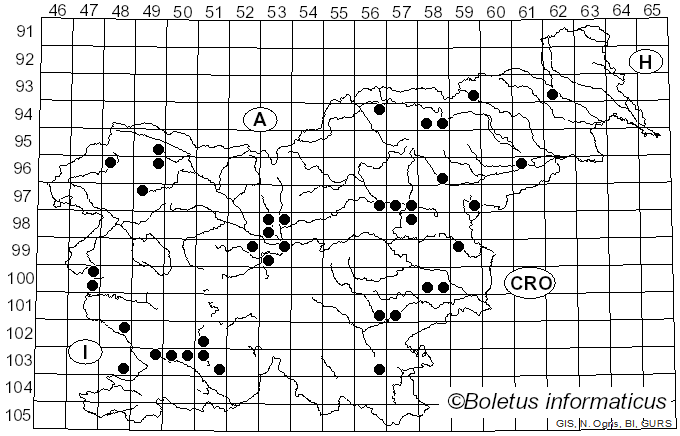 <i>Mycosphaerella pini</i> Rostr. (1957)