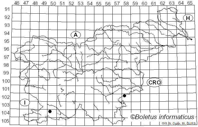 <i>Russula stenotricha</i> Romagn. (1962)