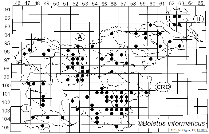 <i>Tyromyces</i> P. Karst. (1881)
