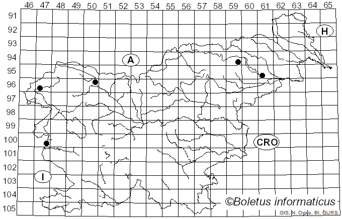<i>Psathyrella microrhiza</i> (Lasch) Konrad & Maubl. (1948)