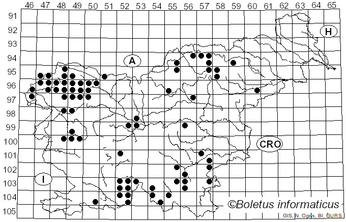 <i>Peltigera</i> Willd. (1787)