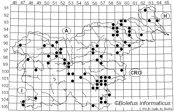 <i>Panus neostrigosus</i> Drechsler-Santos & Wartchow (2012)