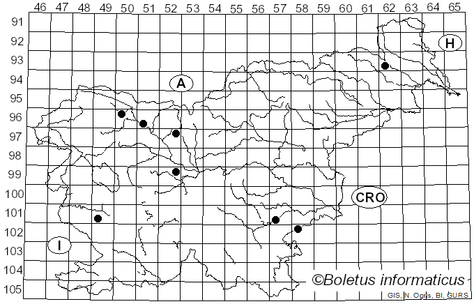 <i>Dendrothele acerina</i> (Pers.) P.A. Lemke (1965)