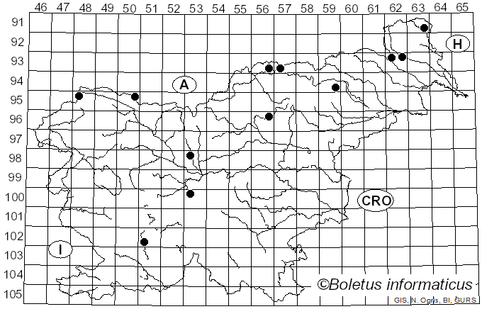 <i>Melampsoridium</i> Kleb. (1899)