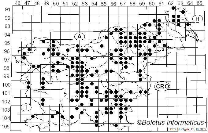 <i>Kuehneromyces</i> Singer & A.H. Sm. (1946)