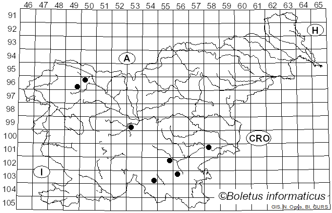 <i>Radulomyces confluens</i> (Fr.) M.P. Christ. (1960)