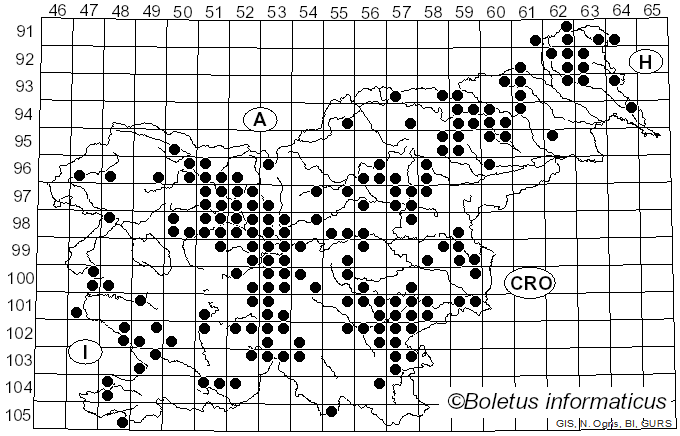 <i>Collybia nuda</i> (Bull.) Z.M. He & Zhu L. Yang (2023)