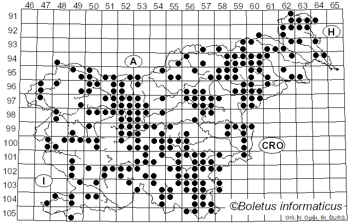 <i>Schizophyllum commune</i> Fr. (1815)
