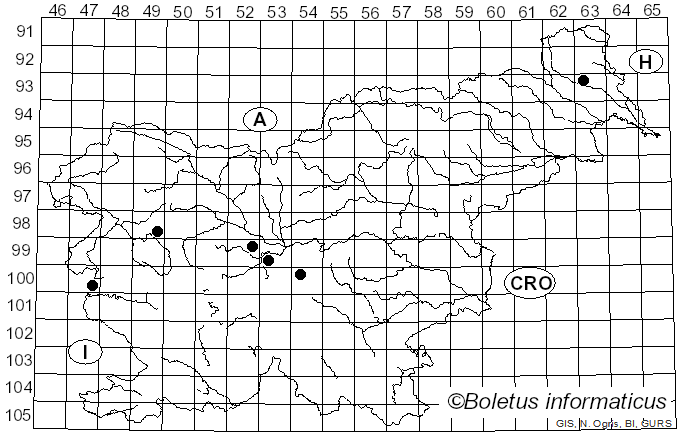 <i>Pseudosperma perlatum</i> (Cooke) Matheny & Esteve-Rav. (2019)