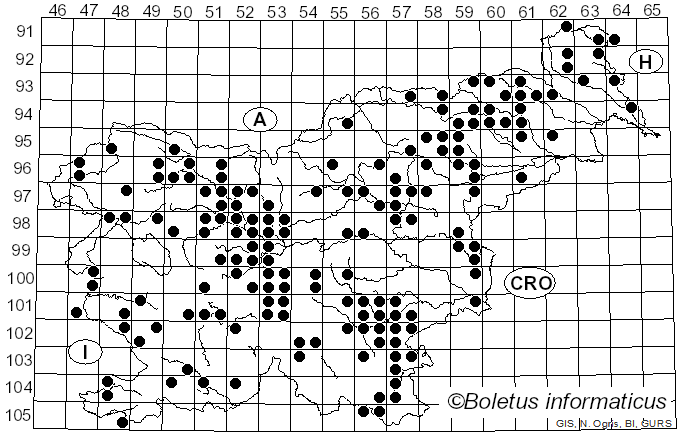 <i>Lepiota cristata</i> (Bolton) P. Kumm. (1871)