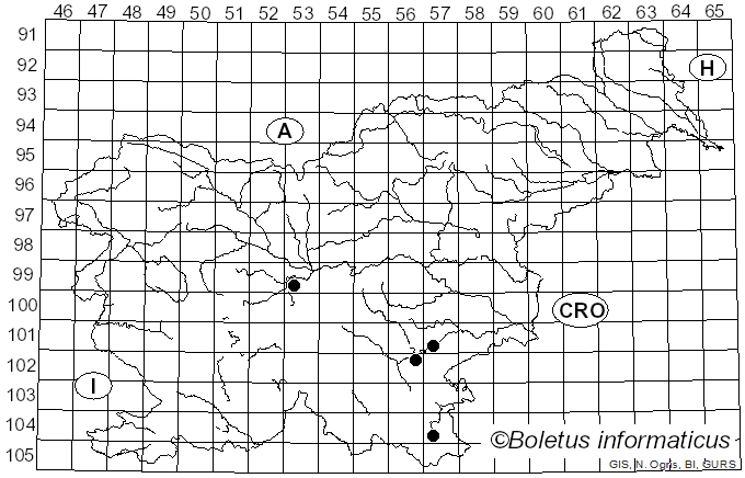 <i>Mycogone rosea</i> Link (1809)
