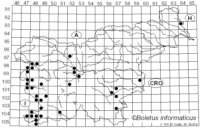 <i>Clathrus ruber</i> P. Micheli ex Pers. (1801)