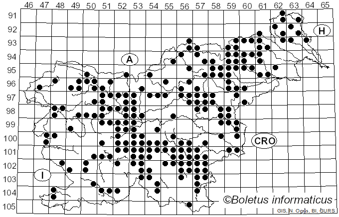 <i>Ramaria flava</i> (Tourn. ex Battarra) Quél. (1888)