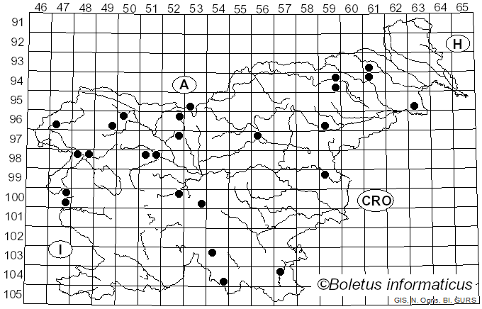 <i>Cystolepiota</i> Singer (1952)