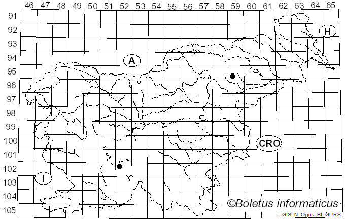 <i>Membranomyces spurius</i> (Bourdot) Jülich (1975)