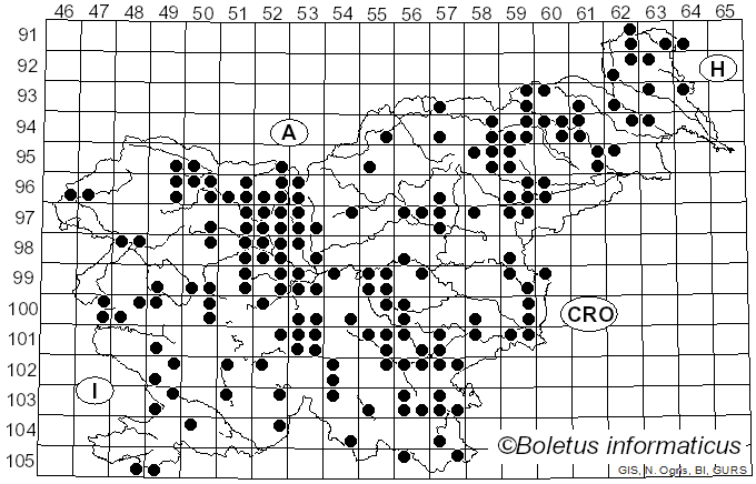 <i>Lycogala epidendrum</i> (J.C. Buxb. ex L.) Fr. (1829)