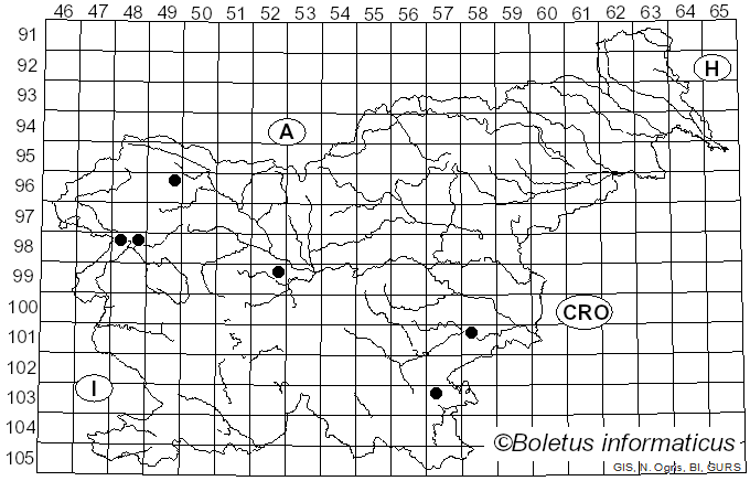 <i>Helminthosphaeria clavariarum</i> (Desm.) Fuckel (1870)