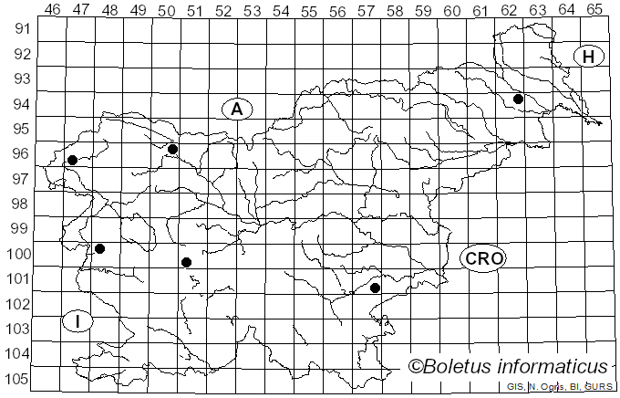 <i>Fusicolla</i> Bonord. (1851)