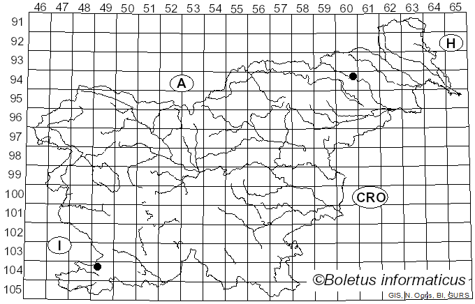 <i>Mycena pseudopicta</i> (J.E. Lange) Kühner (1938)