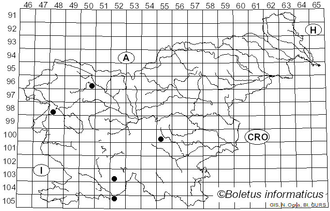 <i>Amanita pachyvolvata</i> (Bon) Krieglst. (1984)