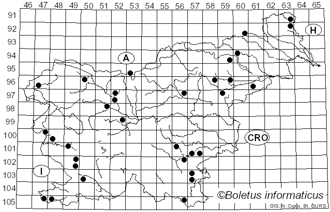 <i>Volvopluteus</i> Vizzini, Contu & Justo (2011)