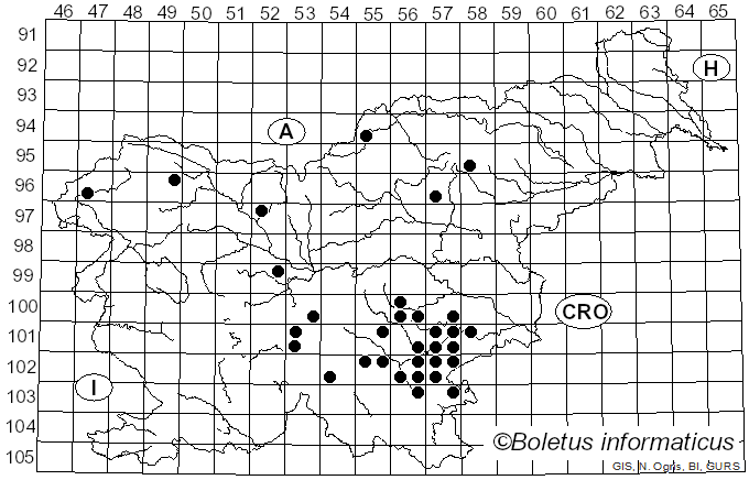 <i>Russula pseudoromellii</i> J. Blum (1955)