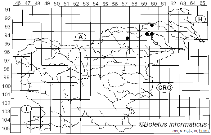 <i>Phloeomana minutula</i> (Sacc.) Redhead (2016)