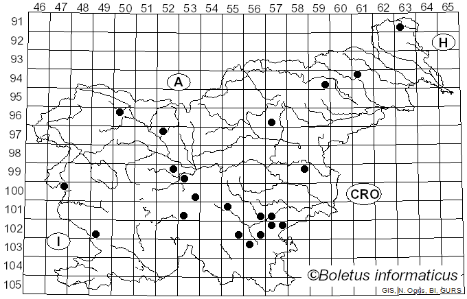 <i>Hygrophorus hedrychii</i> (Velen.) K. Kult (1956)