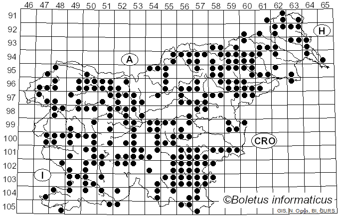 <i>Xylaria</i> Hill ex Schrank (1789)