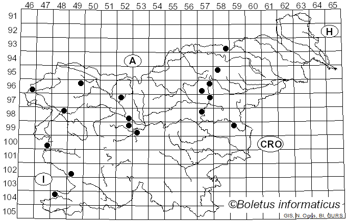 <i>Hygrocybe persistens</i> var. <i>persistens</i> (Britzelm.) Singer (1940)