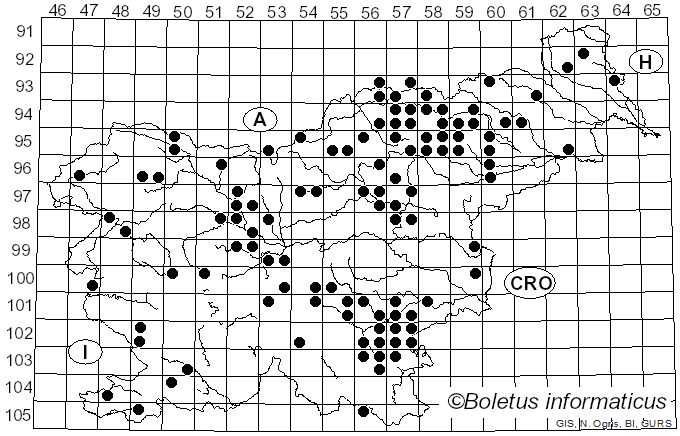 <i>Amanita crocea</i> (Quél.) Singer (1951)