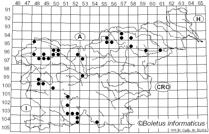 <i>Phaeophyscia orbicularis</i> (Neck.) Moberg (1977)