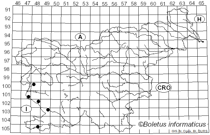 <i>Hygrophorus penarioides</i> Jacobsson & E. Larss. (2007)
